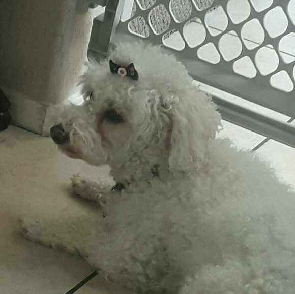 Meet your Posher, Jean - Picture 1 of 1